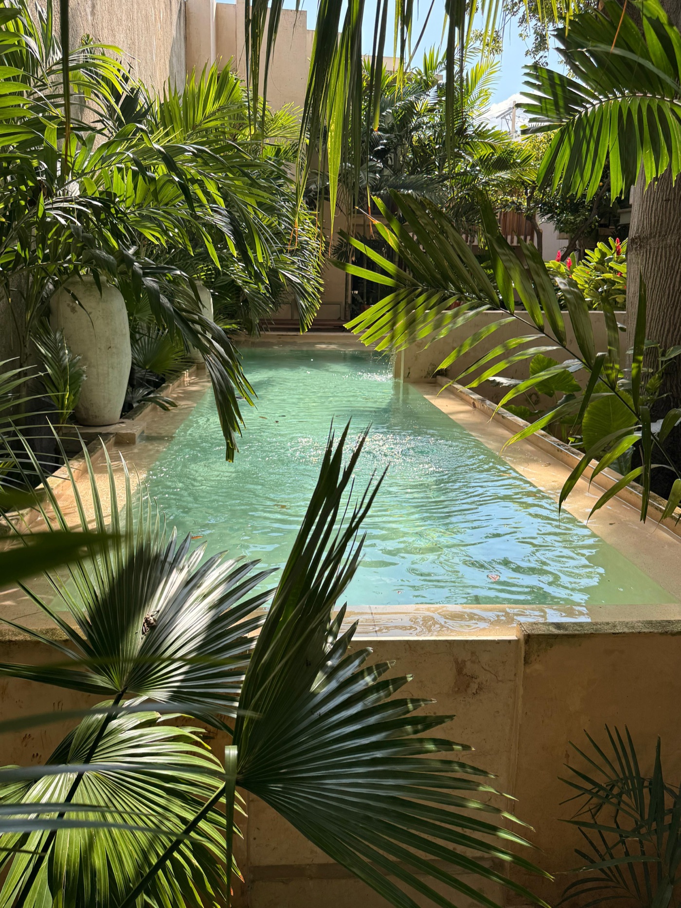 Casa Querida — villa and pool, Centro Histórico, Mérida